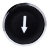 Picture of Harmony XB4, Push button head, metal, flush, black, 22mm, spring return, marked DOWN ARROW