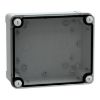 Picture of Thalassa, ABS box IP66 IK07 RAL7035 Int.H175W150D80 Ext.H193W164D87 Transp.cover H20