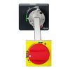 Picture of TeSys; TeSys Deca, Rotary handle kit, TeSys GV4, extended, fixed, red, IP54